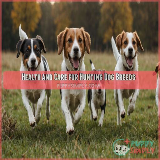 Health and Care for Hunting Dog Breeds