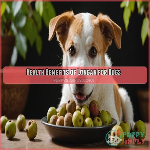 Health Benefits of Longan for Dogs