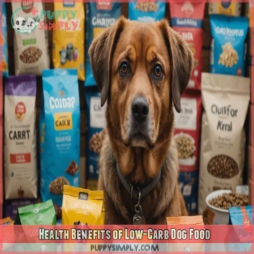 Health Benefits of Low-Carb Dog Food