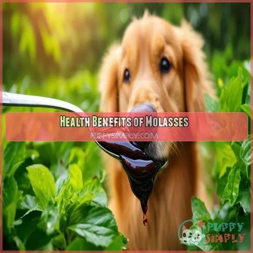 Health Benefits of Molasses