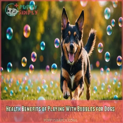 Health Benefits of Playing With Bubbles for Dogs