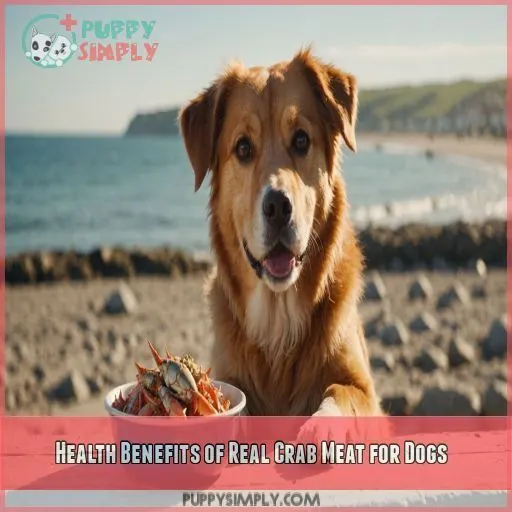 Health Benefits of Real Crab Meat for Dogs