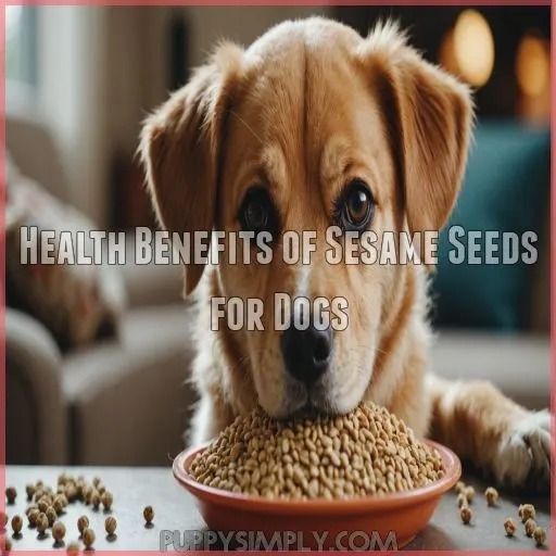 Health Benefits of Sesame Seeds for Dogs