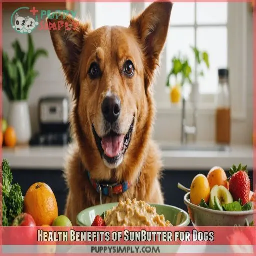 Health Benefits of SunButter for Dogs