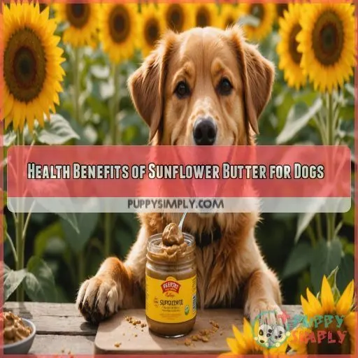 Health Benefits of Sunflower Butter for Dogs