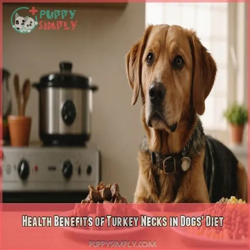 Health Benefits of Turkey Necks in Dogs