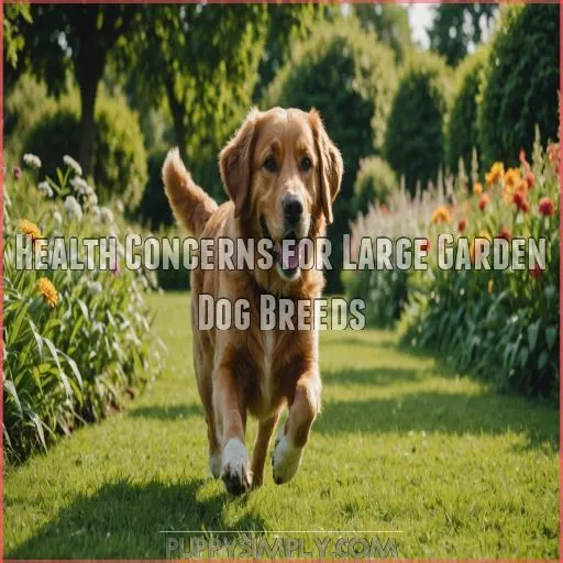 Health Concerns for Large Garden Dog Breeds