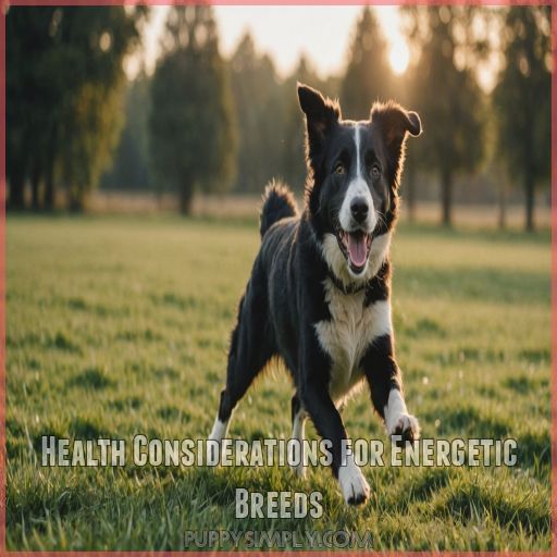 Health Considerations for Energetic Breeds