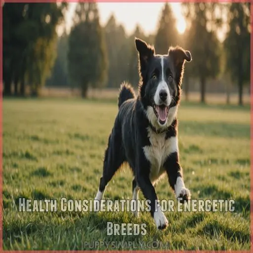 Health Considerations for Energetic Breeds