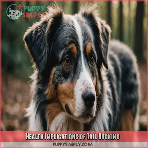 Health Implications of Tail Docking