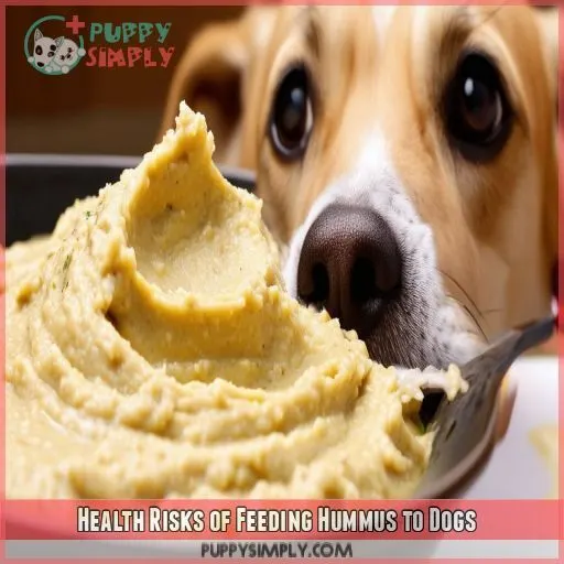 Health Risks of Feeding Hummus to Dogs