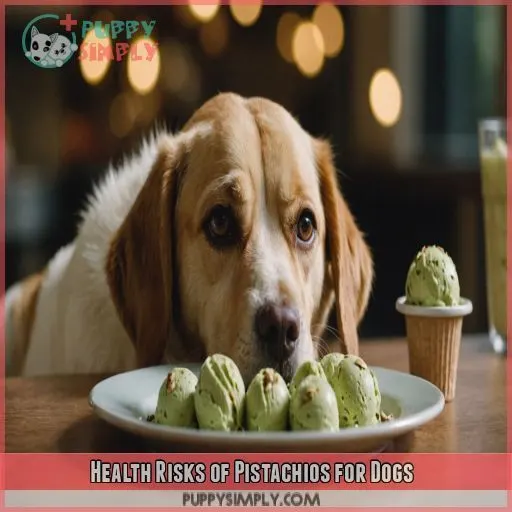 Health Risks of Pistachios for Dogs