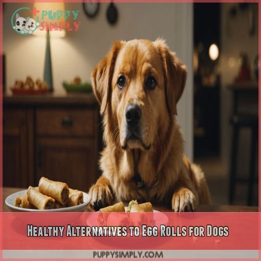 Healthy Alternatives to Egg Rolls for Dogs