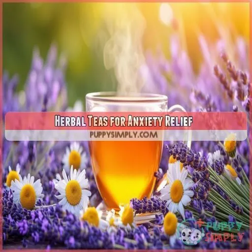 Herbal Teas for Anxiety Relief