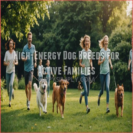 High-Energy Dog Breeds for Active Families