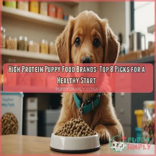 High protein puppy food brands