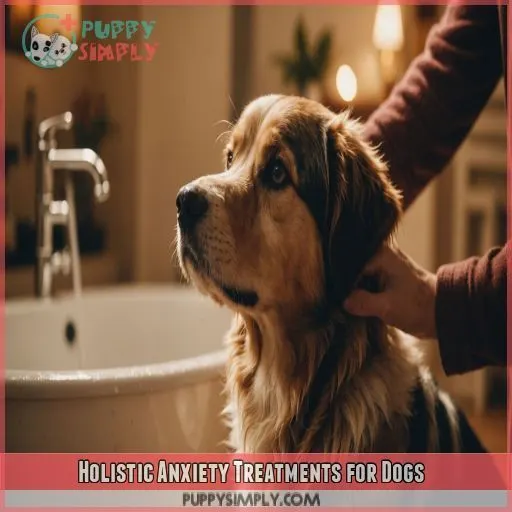 Holistic Anxiety Treatments for Dogs