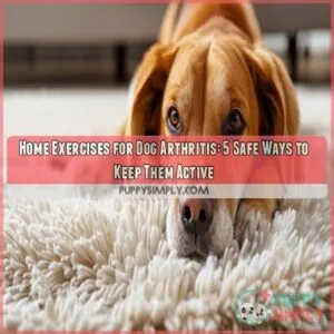 Home exercises for dog arthritis