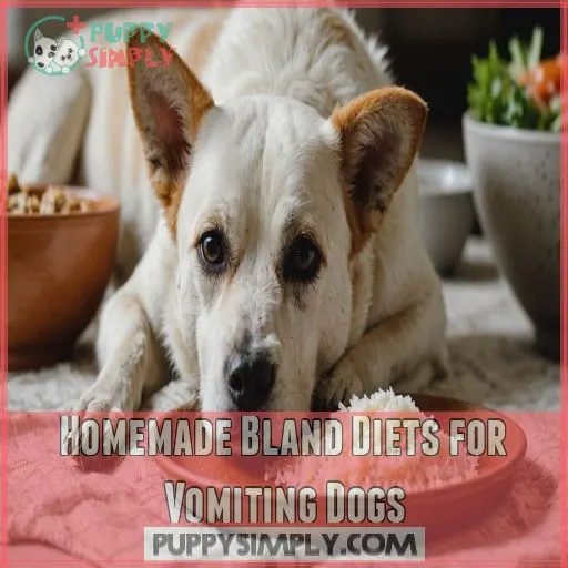 Homemade Bland Diets for Vomiting Dogs