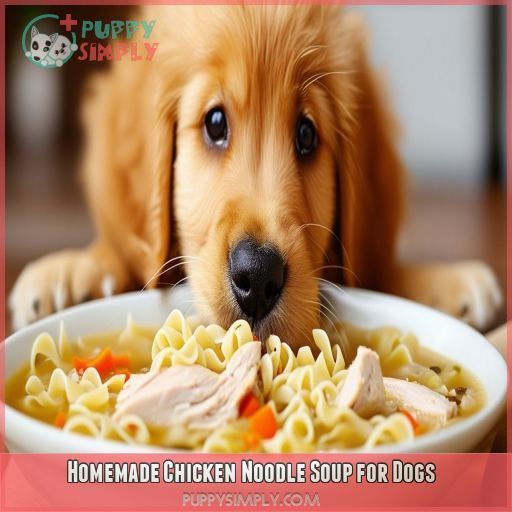 Homemade Chicken Noodle Soup for Dogs