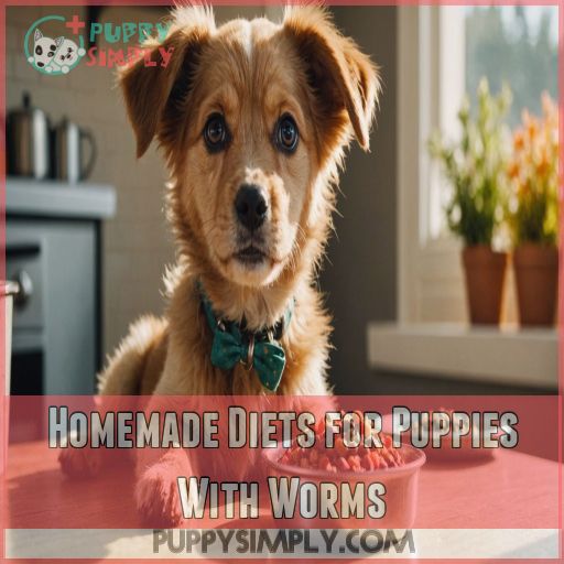 Homemade Diets for Puppies With Worms