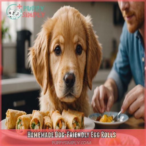 Homemade Dog-Friendly Egg Rolls