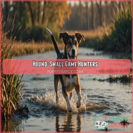 Hound: Small Game Hunters