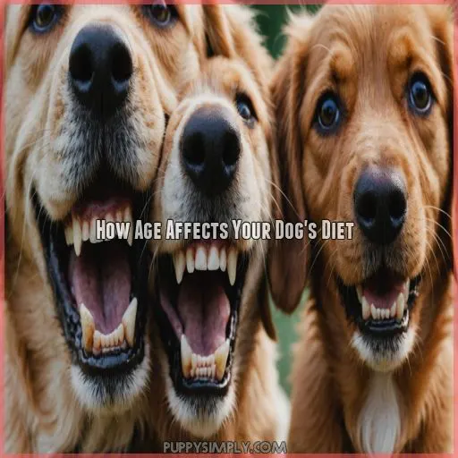 How Age Affects Your Dog