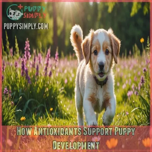 How Antioxidants Support Puppy Development