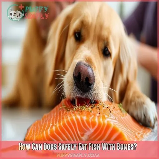 How Can Dogs Safely Eat Fish With Bones