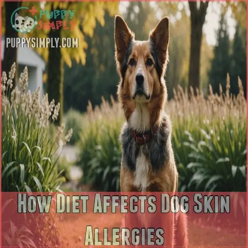 How Diet Affects Dog Skin Allergies