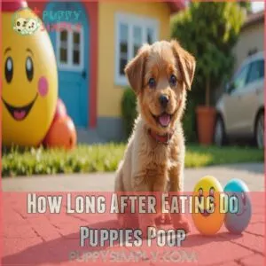 How Long After Eating Do Puppies Poop