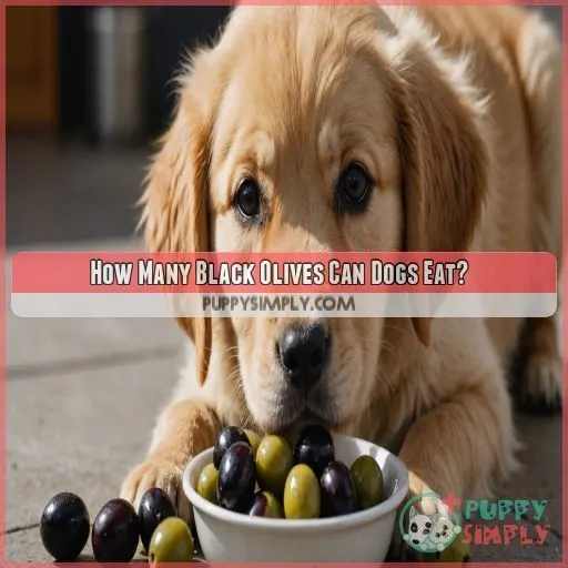 How Many Black Olives Can Dogs Eat