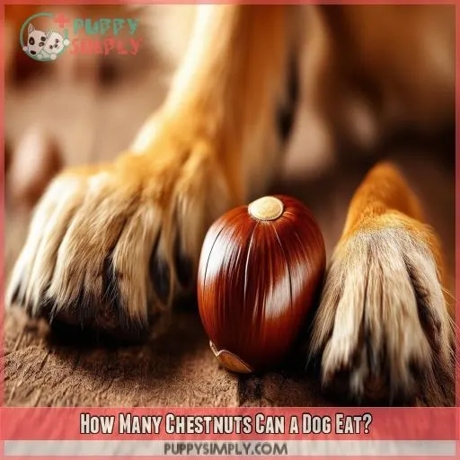 How Many Chestnuts Can a Dog Eat