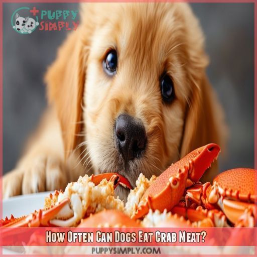 How Often Can Dogs Eat Crab Meat