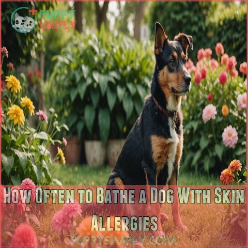 How Often to Bathe a Dog With Skin Allergies