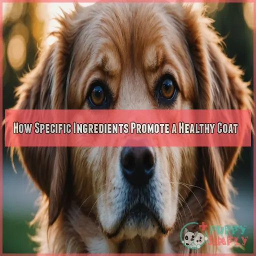 How Specific Ingredients Promote a Healthy Coat