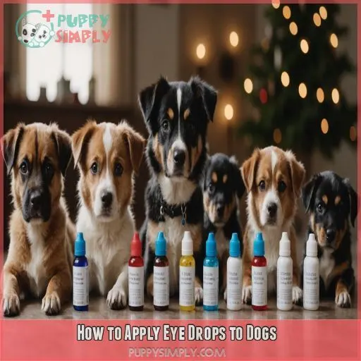 How to Apply Eye Drops to Dogs