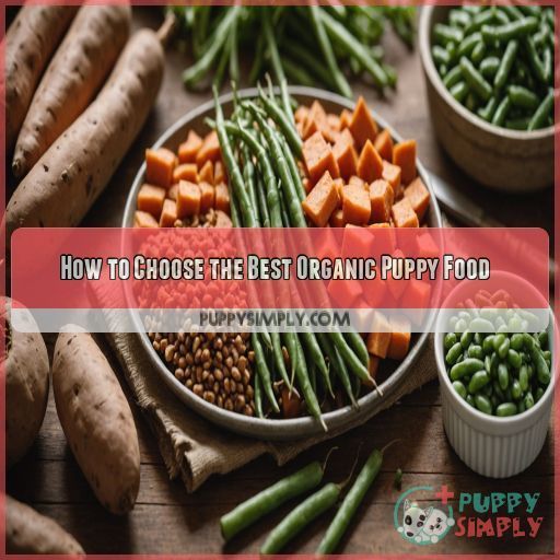 How to Choose the Best Organic Puppy Food