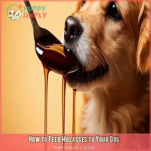 How to Feed Molasses to Your Dog