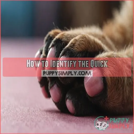 How to Identify the Quick