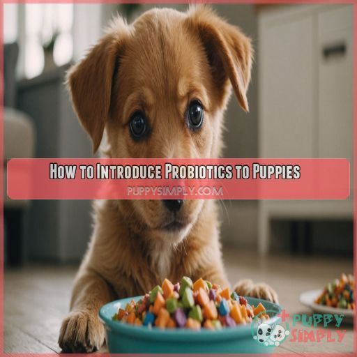 How to Introduce Probiotics to Puppies