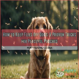 how to keep flies off dogs