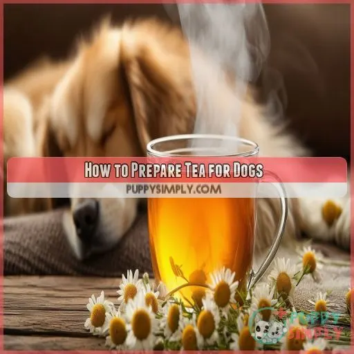 How to Prepare Tea for Dogs