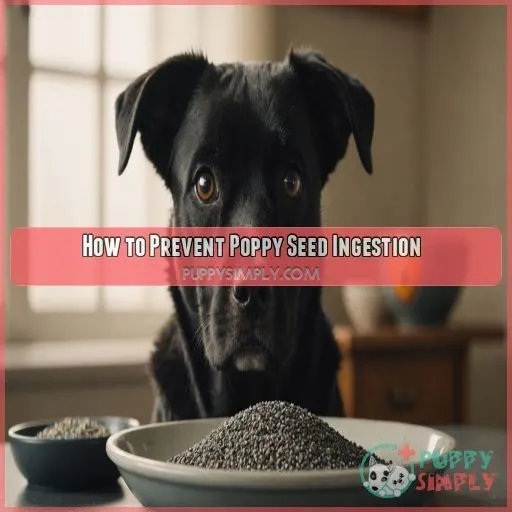 How to Prevent Poppy Seed Ingestion