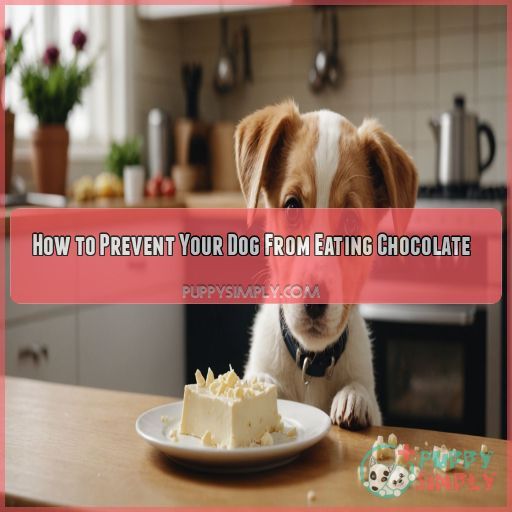 How to Prevent Your Dog From Eating Chocolate