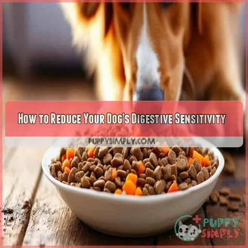 How to Reduce Your Dog