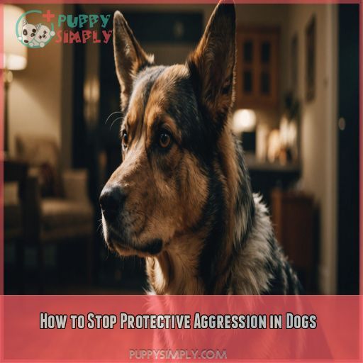 How to Stop Protective Aggression in Dogs