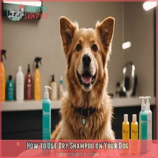 How to Use Dry Shampoo on Your Dog