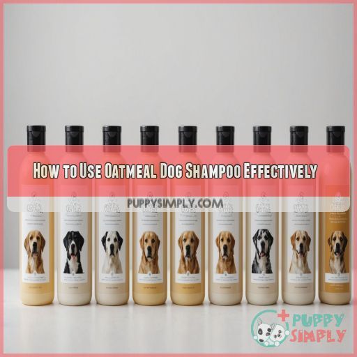 How to Use Oatmeal Dog Shampoo Effectively